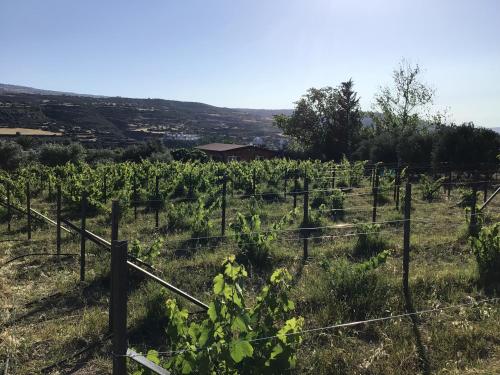 Pervolaris Cottages 1 in Unknown City, Cyprus