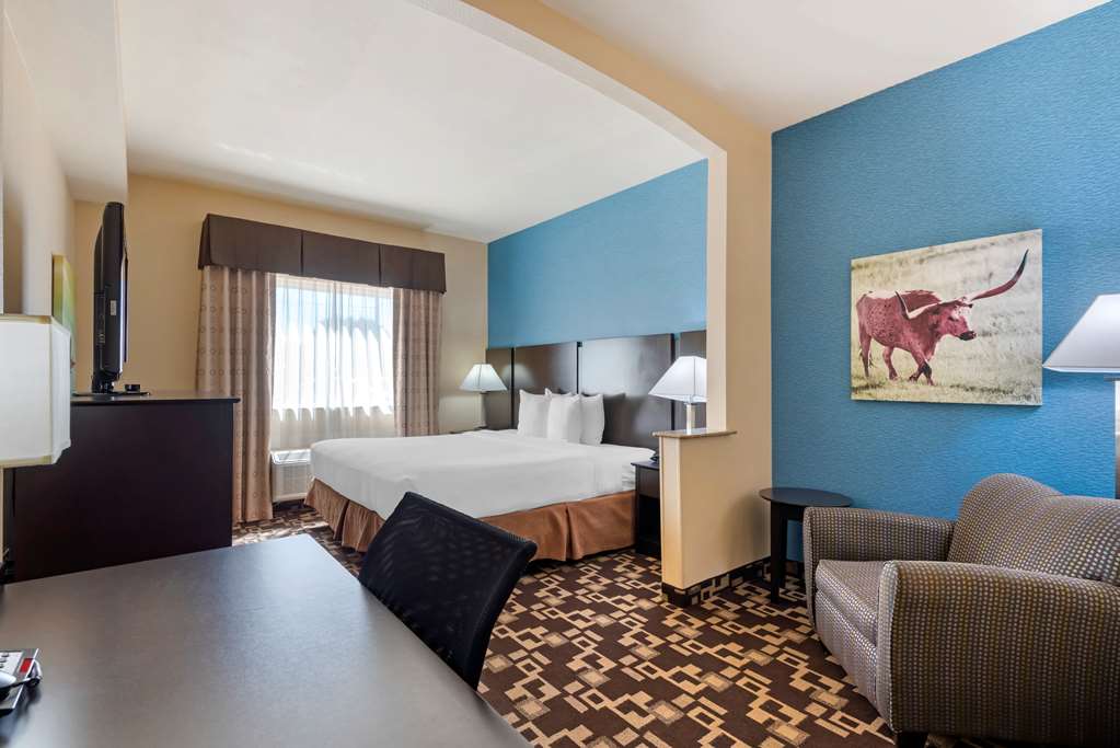 Best Western Plus Arlington North Hotel & Suites - photo 11