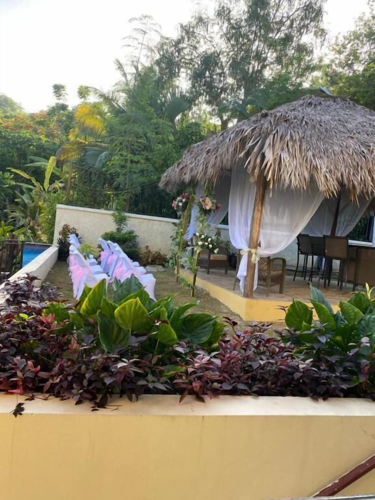 Marvettes Hideaway — Lucea — photo 4
