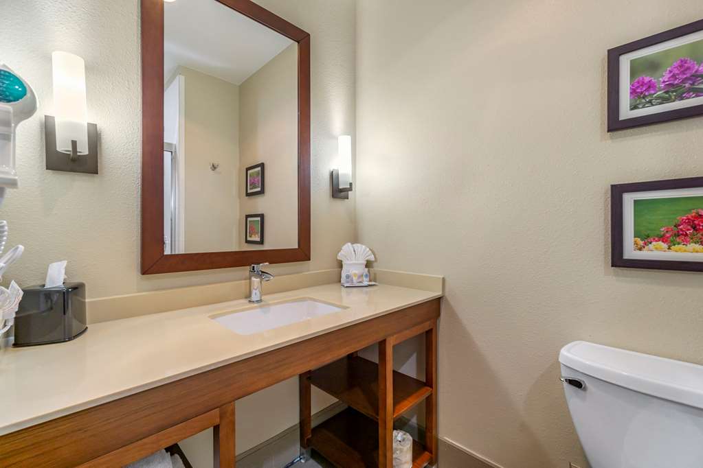Comfort Inn & Suites Lakewood by JBLM - photo 15