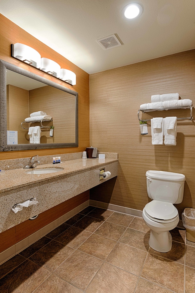 Best Western Plus Delta Inn & Suites - photo 16