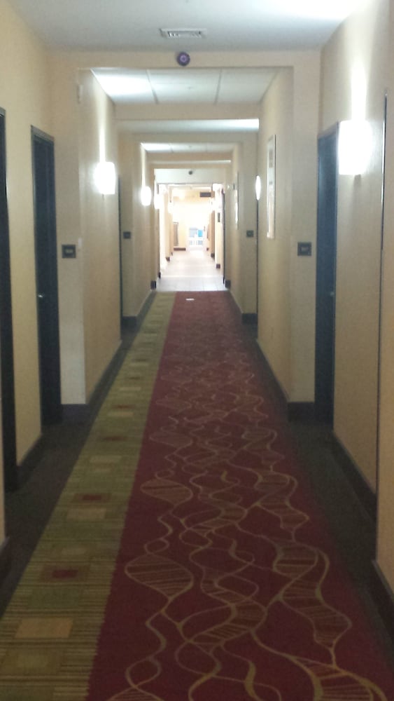 Paradise Inn & Suites - photo 20