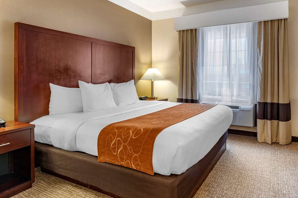 Comfort Suites Linn County - photo 24