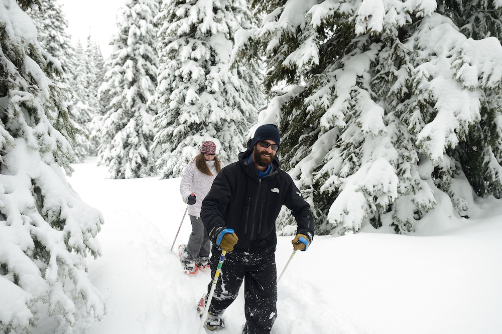 Targhee Lodge By Grand Targhee Resort - photo 28