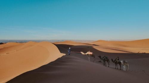 Sahara pathfinders in Mhamid, Morocco