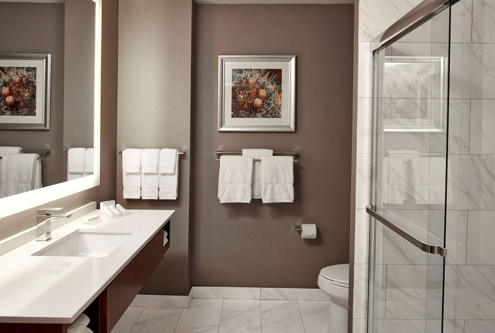 Hilton Garden Inn Phoenix Downtown - photo 36