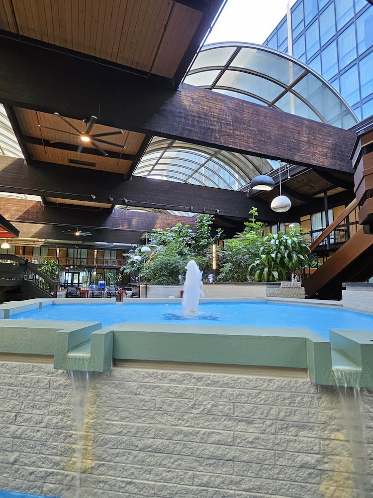 M Hotel Buffalo - photo 39