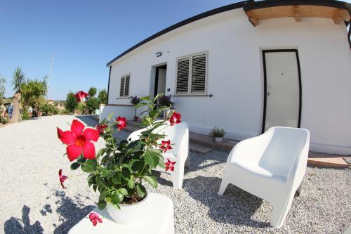 La Pace Degli Agrumi pet-friendly hotel Pannaconi