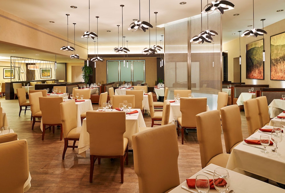 DoubleTree by Hilton San Antonio Airport - photo 13