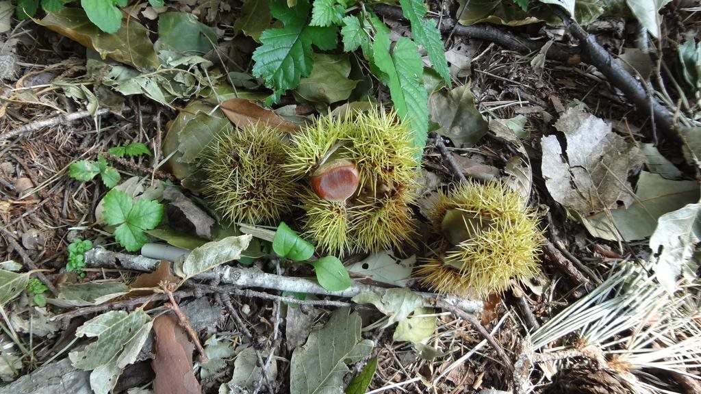 Hotel Village Enzan in Myoko, Japan