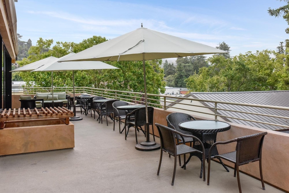 Mill Valley Inn - photo 16