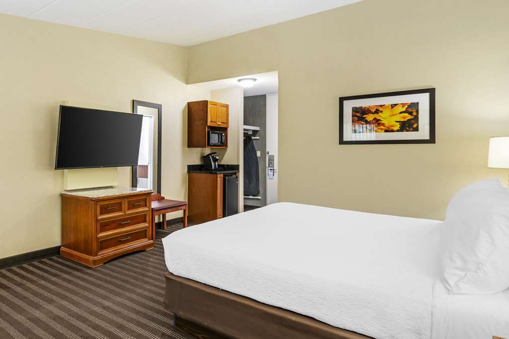 Best Western Springfield Hotel - photo 48