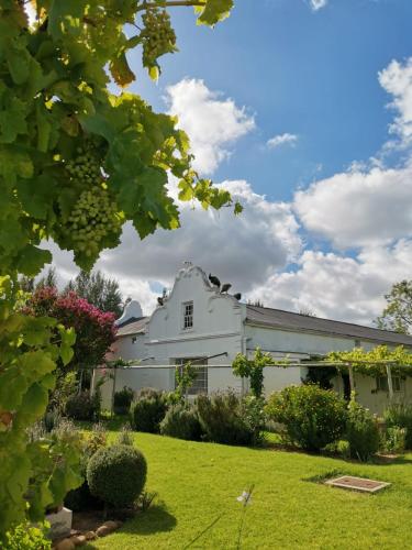 Morgenzon Farm in Wellington, South Africa