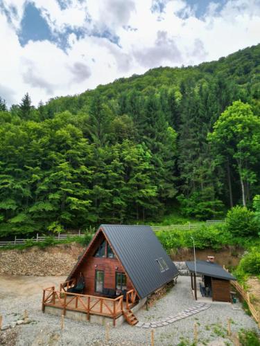 Wild Cabin — Malaia — photo 3
