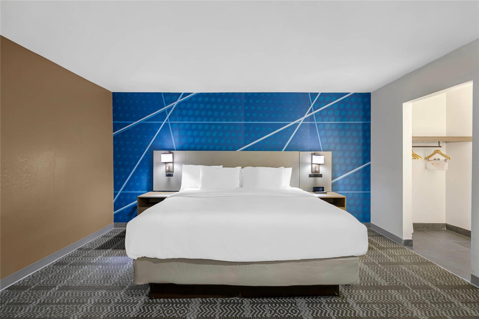 Comfort Inn & Suites Savannah Airport - photo 23