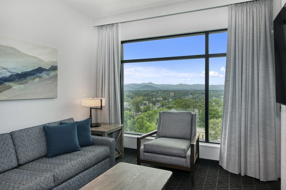 Embassy Suites By Hilton Asheville Downtown - photo 27
