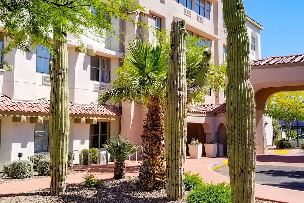 City Express by Marriott Tempe - photo 109