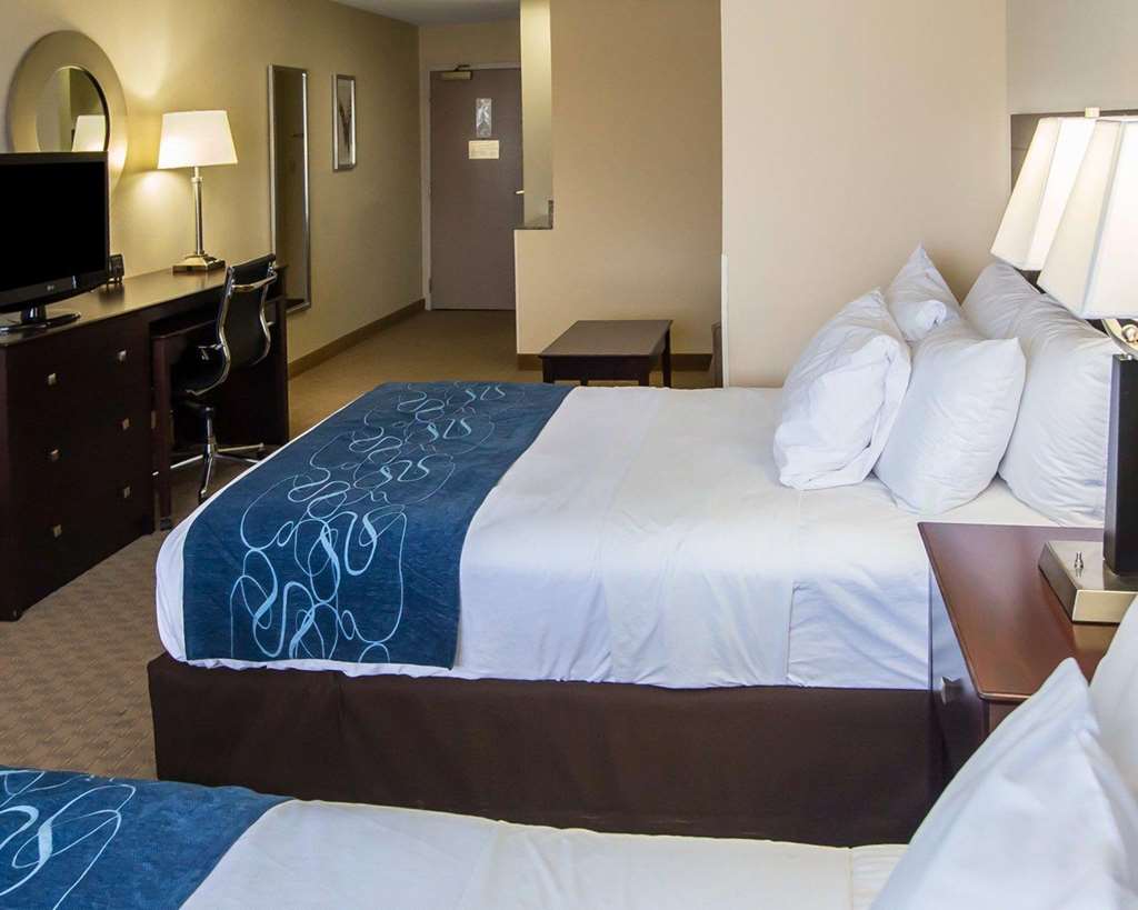 Comfort Suites University Area Notre Dame South Bend - photo 9
