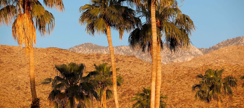 Hotel California a Town and Desert Boutique Hotel - photo 64