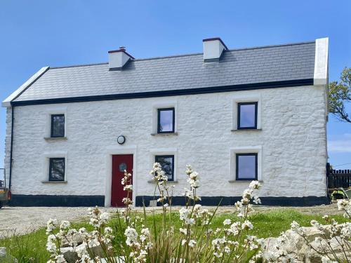 Nead na bhFáinleog Swallows Nest in Unknown City, Republic of Ireland