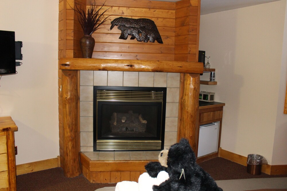 Spearfish Canyon Lodge - photo 27