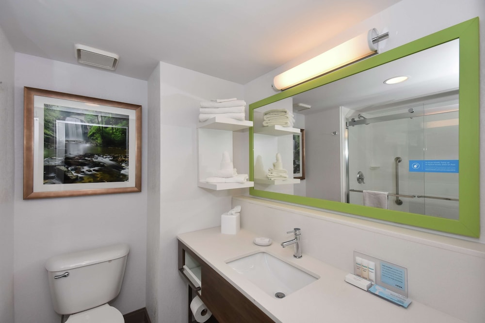 Hampton Inn Brevard - photo 15
