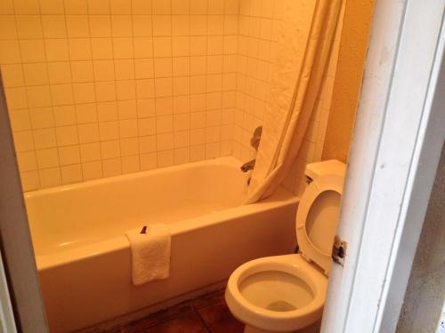 Austin Motor Inn - photo 45