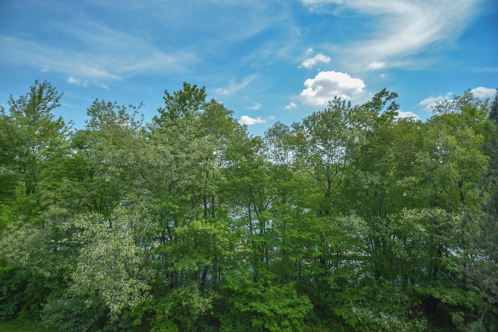 Duck Cove at Wisp - photo 37