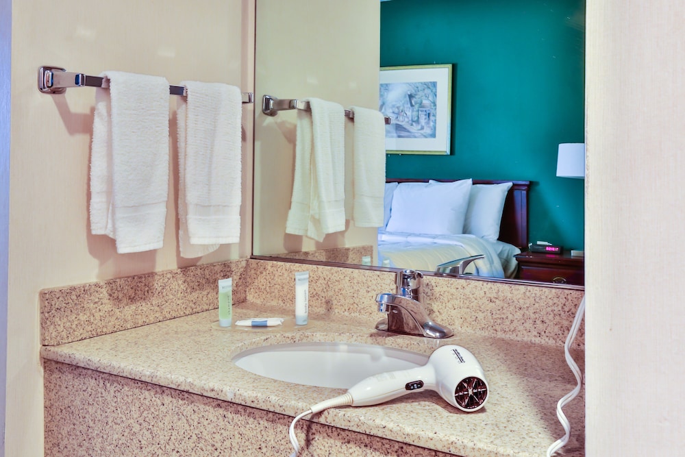 The View Inn & Suites - photo 17