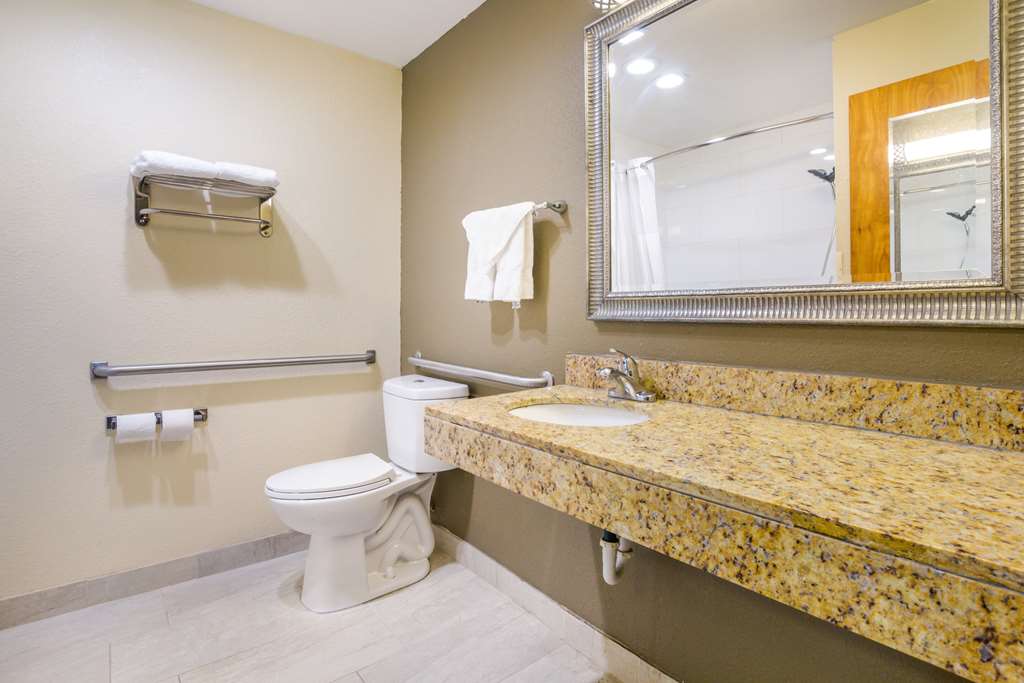 Quality Inn & Suites Florence Cincinnati South - photo 11
