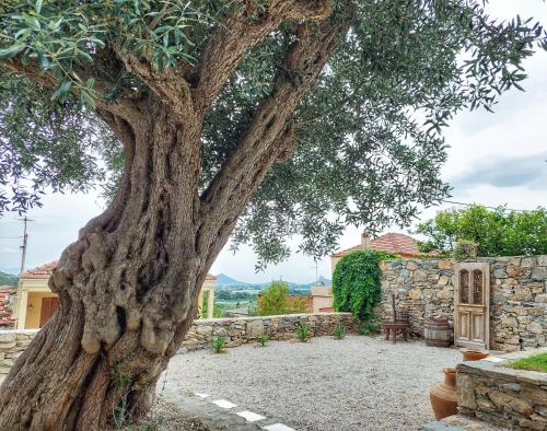 Calma Estate - carbon neutral hotel in Eleftheres