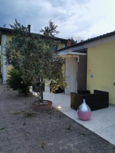 Fondo Marsiglia 110 — Comacchio — photo 4