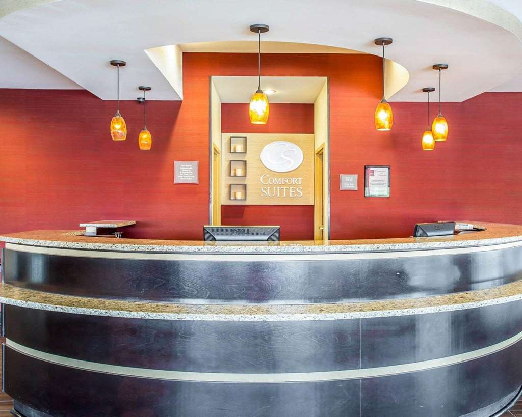 Comfort Suites Rock Hill Manchester Meadows Area - photo 4