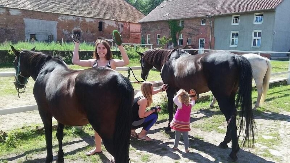 Horseback riding
