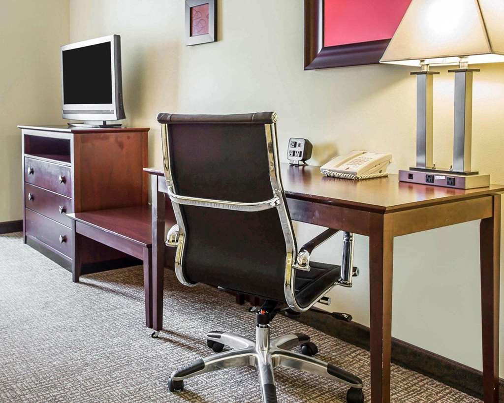 Comfort Suites Rock Hill Manchester Meadows Area - photo 17