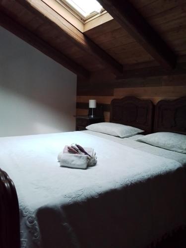 B&B Le Mimose — Bricherasio — photo 3