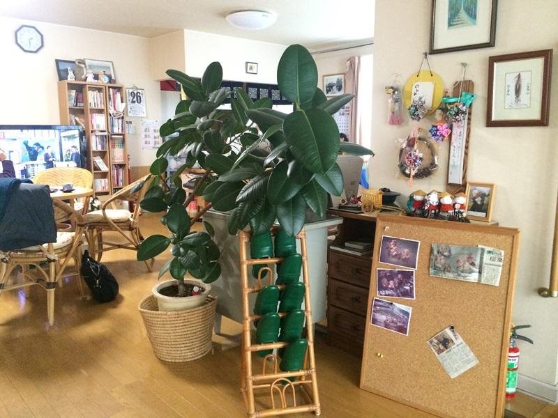 Oyado Aozora in Hakodate, Japan