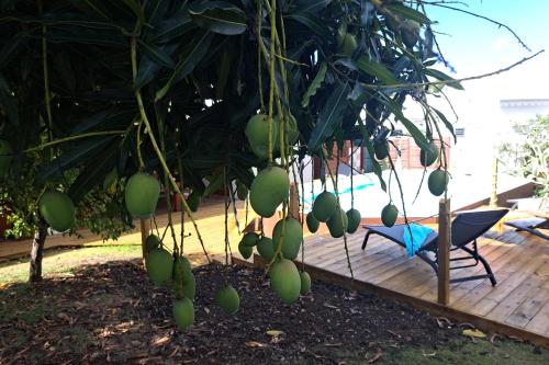 Villa La Plumeria — 4-Star Luxury Hotel in Saint-Francois, Guadeloupe