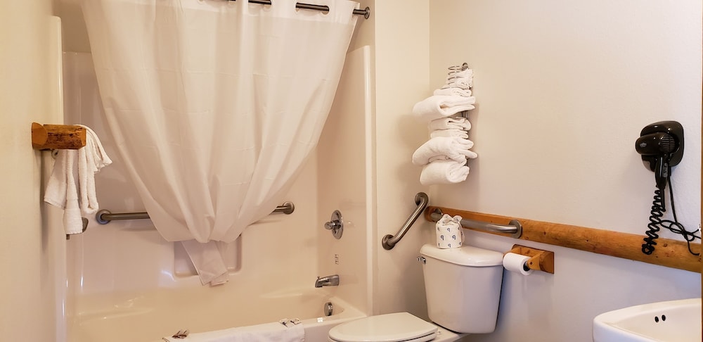 Big Bear Motel - photo 45