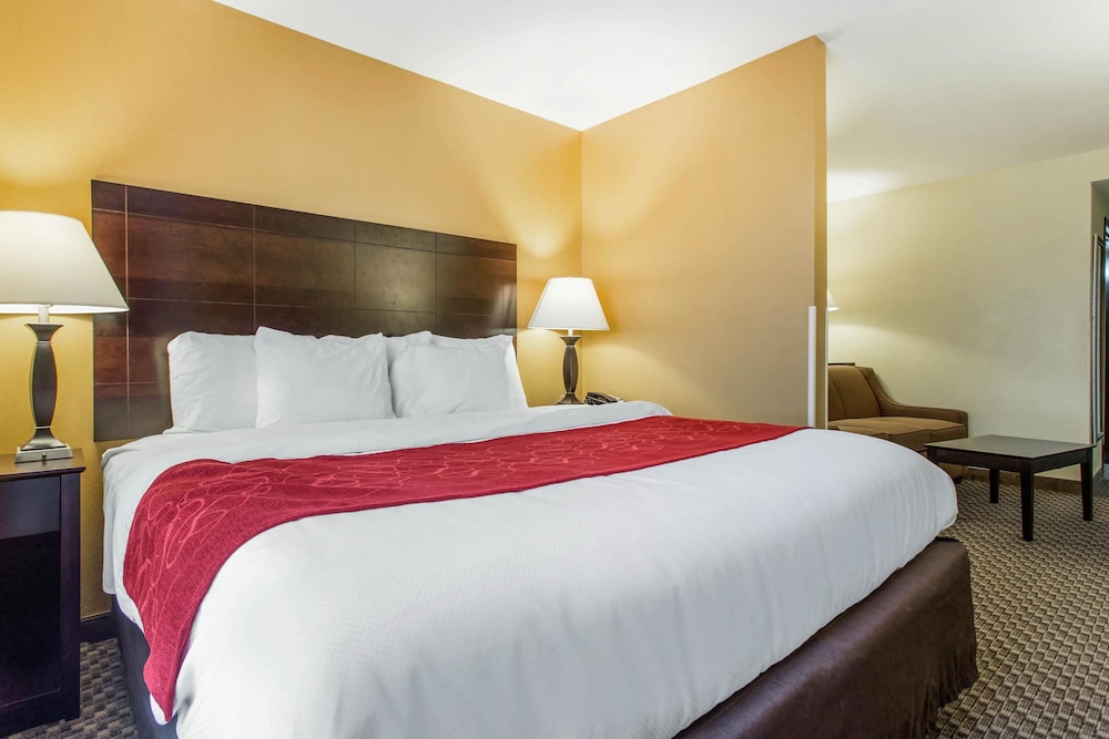 Comfort Suites Clinton near Presbyterian College - photo 12