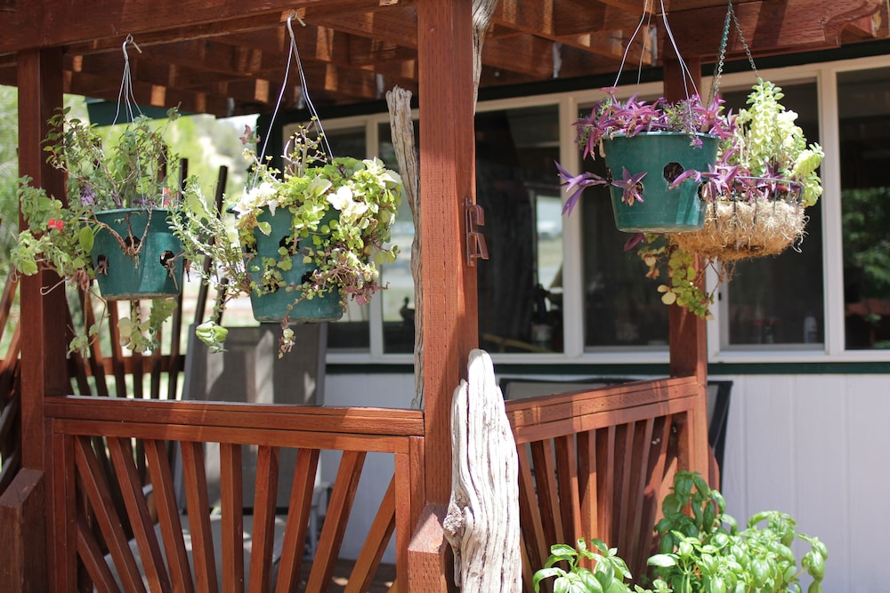Historic Smith Hotel B&B - photo 40