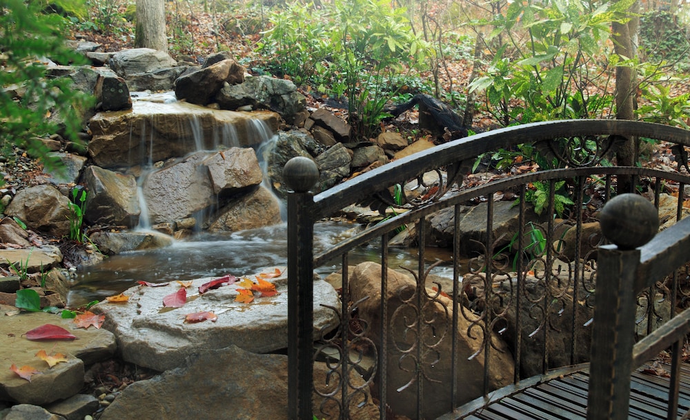 Laurel Valley Mountain Retreat - photo 219