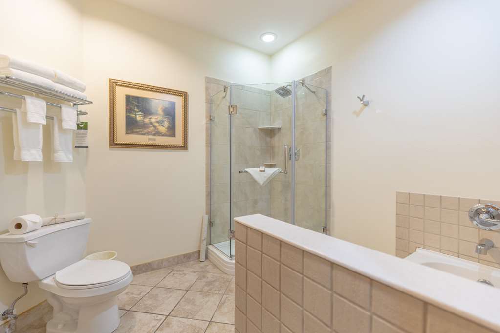 Best Western Lodge At River's Edge - photo 44
