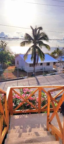 Colorful Garden House — Providencia — photo 5