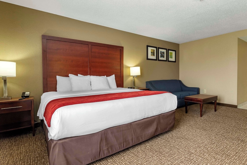 Comfort Inn & Suites Mocksville I 40 - photo 9