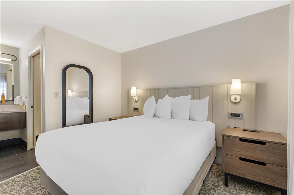 Sonesta ES Suites Dulles Airport - photo 46