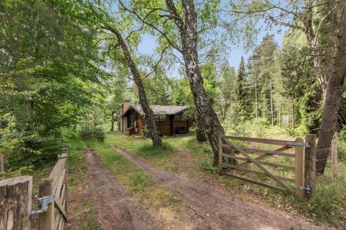 Nature tranquility and coziness in Frederiksvaerk, Denmark