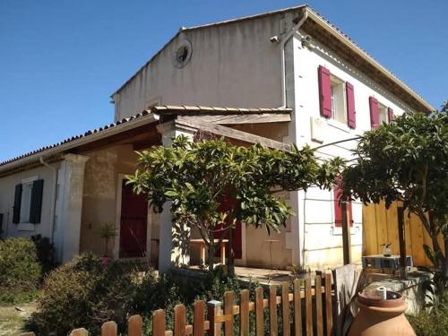 Les Néfliers in Maillane, France