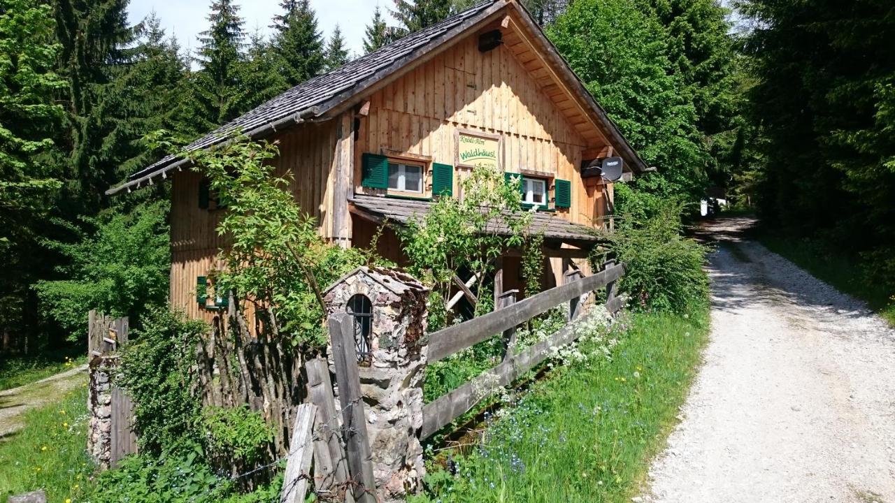 Knodl Alm Waldhausl in Mitterndorf Im Steirischen Salzkammergut, Austria