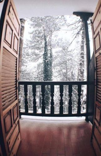 Milionis Forest Hotel — Grevena — photo 5